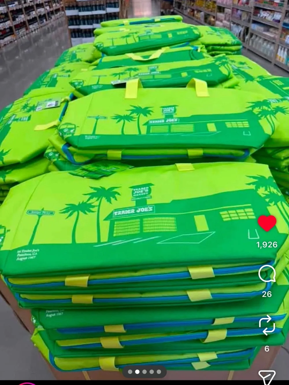 Trader Joe's Large Lime Green Insulated Bag